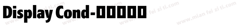 Display Cond字体转换